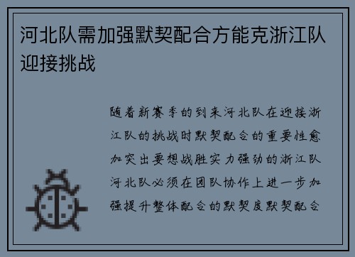 河北队需加强默契配合方能克浙江队迎接挑战