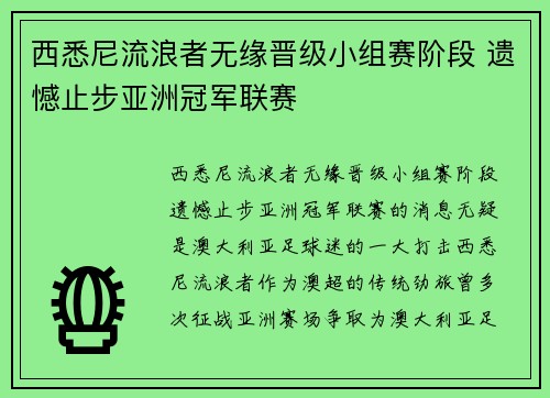 西悉尼流浪者无缘晋级小组赛阶段 遗憾止步亚洲冠军联赛