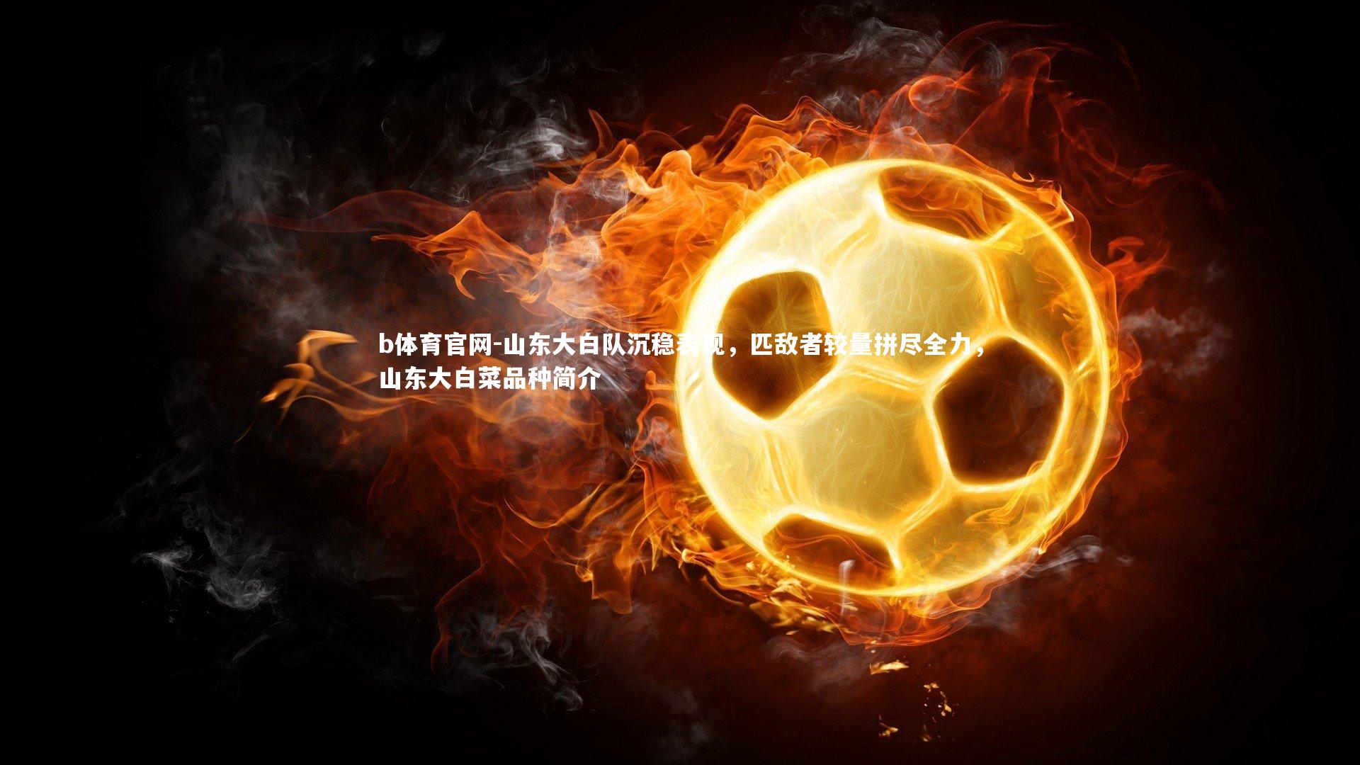 山东大白队沉稳表现，匹敌者较量拼尽全力，山东大白菜品种简介